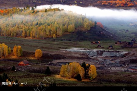 新疆的秋天2图片
