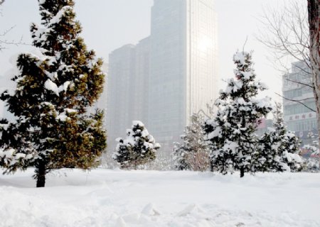 雪景楼房图片