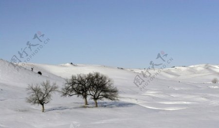 雪景图片