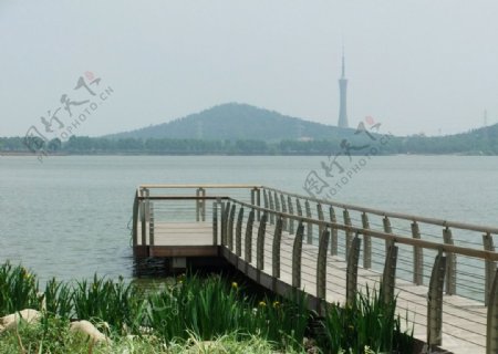 安徽龙子湖图片