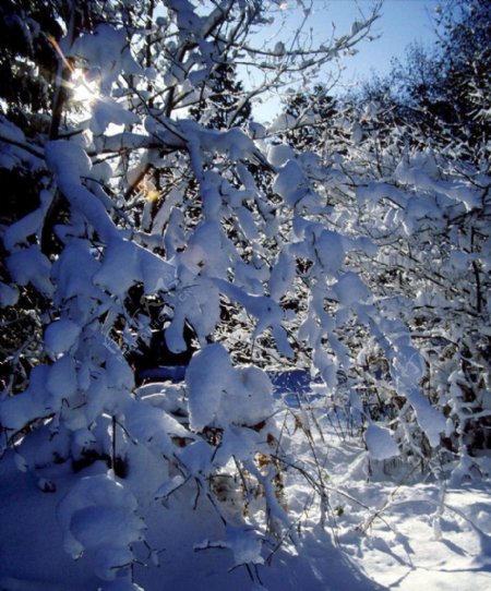 大雪迷幻风景7图片