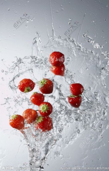 水中草莓图片
