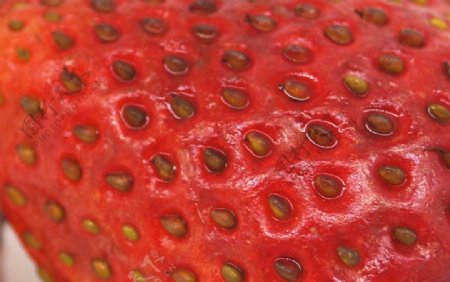 草莓局部图图片