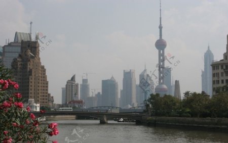上海苏州河图片