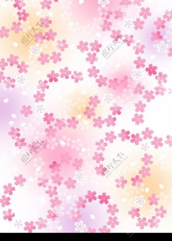 樱花花环图片