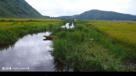 腾冲湿地图片