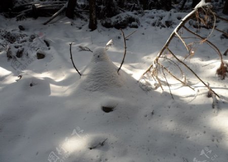 雅安周公山雪人图片