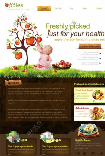 儿童健康食品网站模板图片