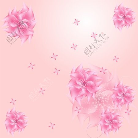 粉色花图片