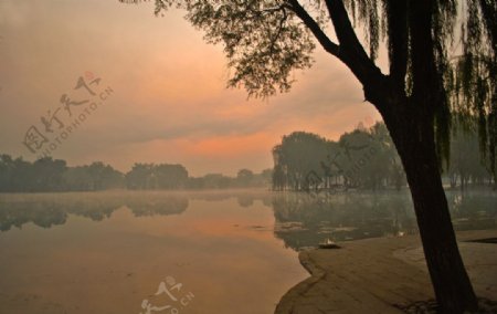 百脉泉湖光晨色图片