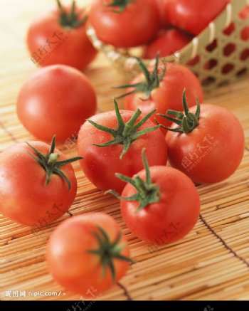 鲜艳的西红柿图片