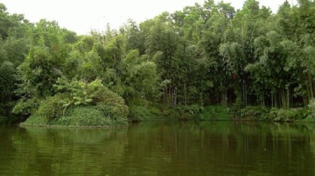 青山绿湖图片