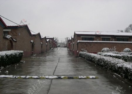 小区雪景图片