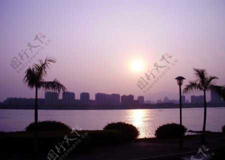 江滨江树夕阳图片
