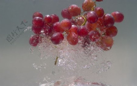 葡萄落水瞬间图片
