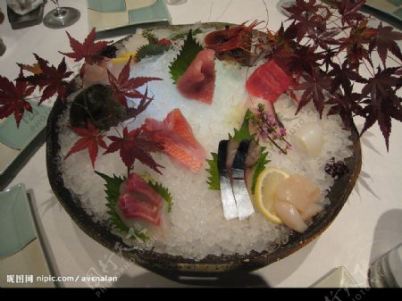 日本菜寿司刺身图片