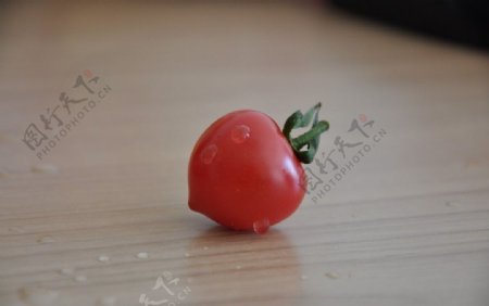 孤独的西红柿图片
