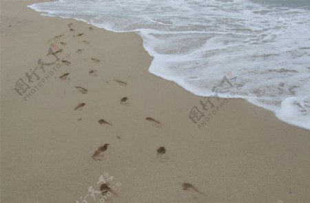 沙滩脚印2图片