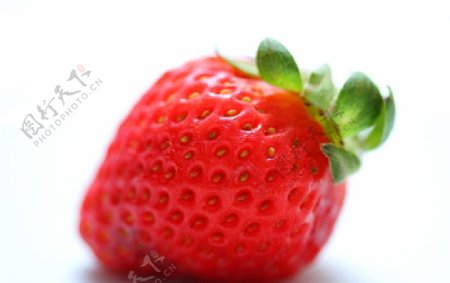一个草莓图片