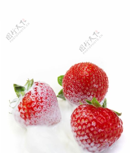 被牛奶泡过的草莓图片