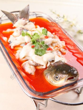 番茄鱼图片