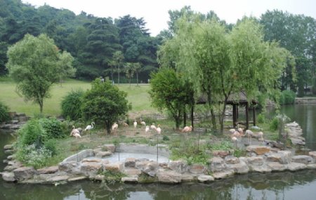 动物园风景图片