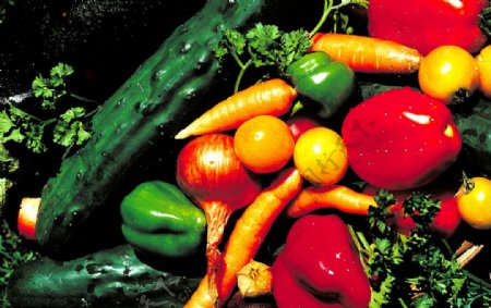 丰富多彩的蔬果图片