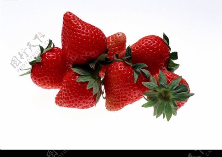草莓2图片