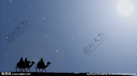 骆驼和星空图片