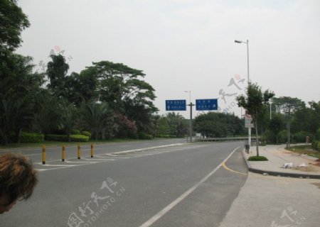 深圳道路景观一角图片