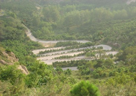 山中公路图片