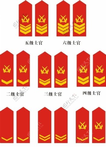 中国人民解放军武警士官常服肩章图片