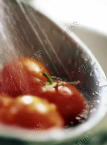 清洗西红柿图片