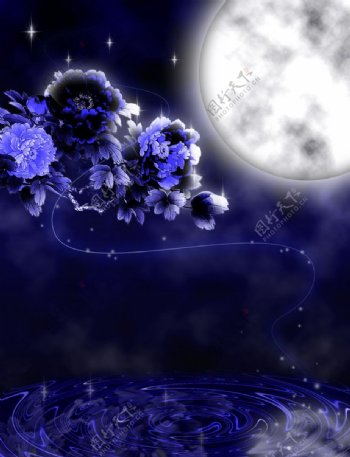 月夜牡丹图片