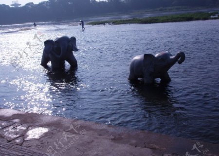 桂林风光漓江中的小象1图片