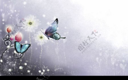 蝴蝶背景素材图片