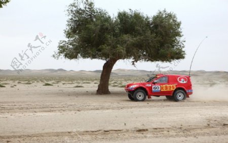沙漠挑战赛汽车长城哈弗沙漠图片