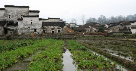 徽州古村落一图片