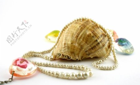 海螺珍珠玛瑙图片