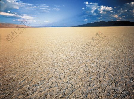 干枯的沙河图片