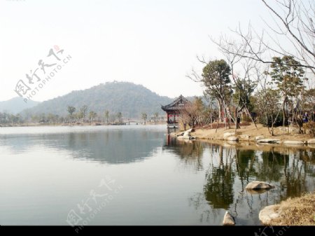 美丽湘湖之二图片