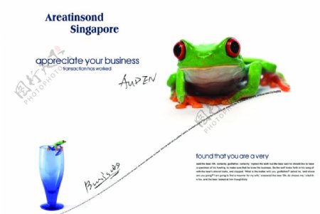 创意青蛙设计图片