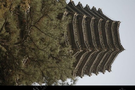 北京大学的塔图片