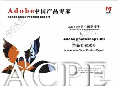 adobe证书设计样本图片