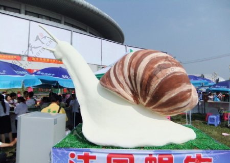蜗牛石膏造型图片