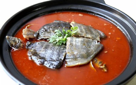 红煨甲鱼图片