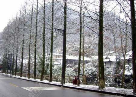 青城山雪景图片