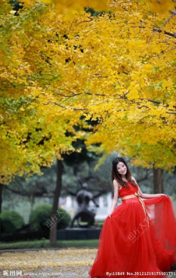 枫叶林下的红衣美女图片