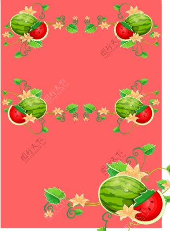 西瓜花朵背景图片