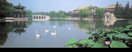 北京公园中的湖面图片